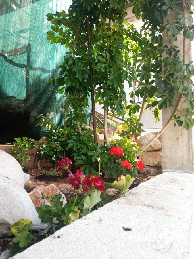 Guest House Inara Neum Luaran gambar